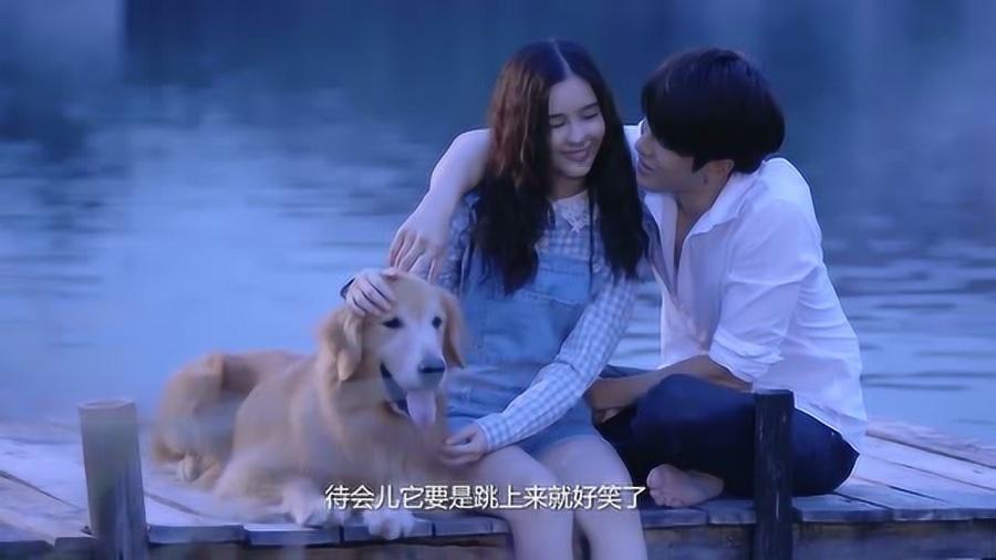 矿工打地鼠